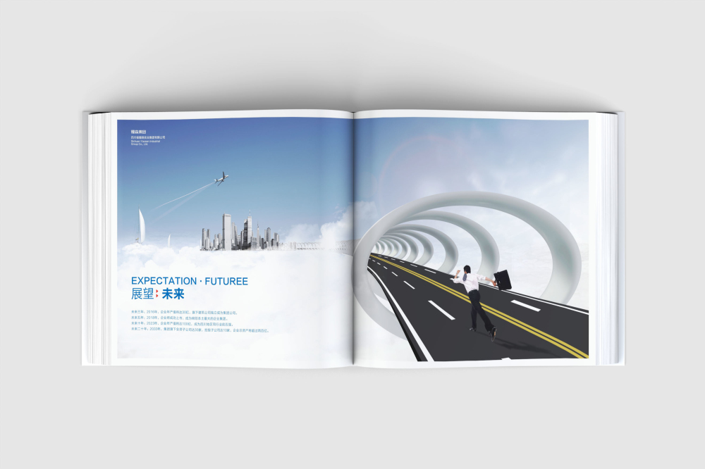 大足区画册设计